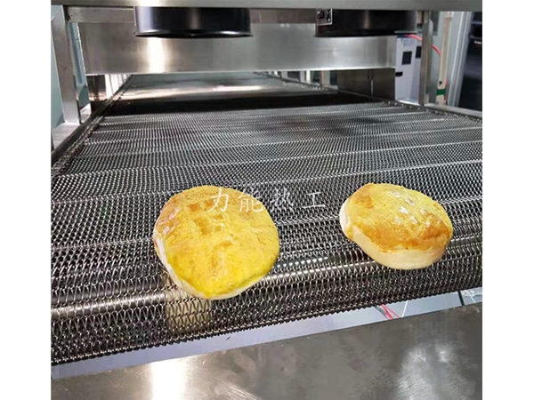 304網(wǎng)鏈輸送機(jī)