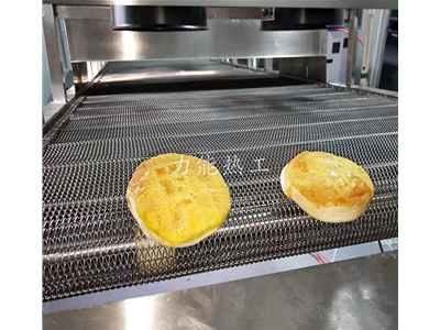 304網(wǎng)鏈輸送機